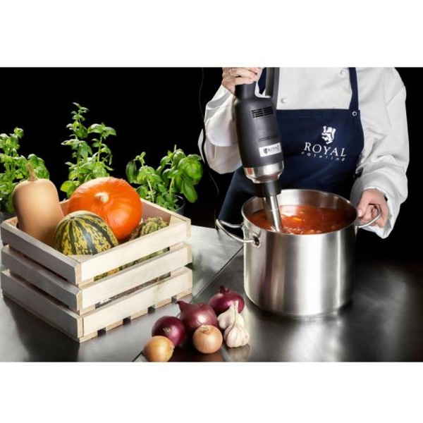 Потужний міксер-блендер, ручний робот-блендер, довжина руки 300 мм, 350 Вт, 230 В, Royal Catering