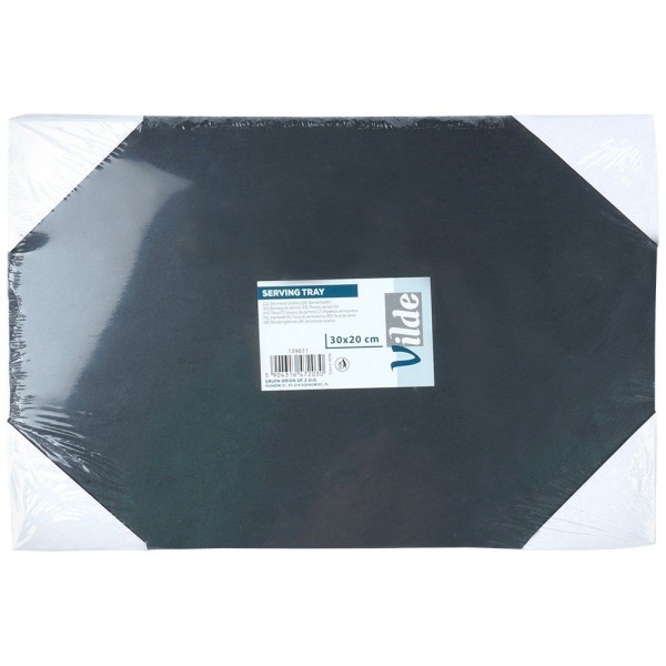 Прямокутний сервірувальний піднос зі сланцевого каменю 30x20 см VILDE 139611