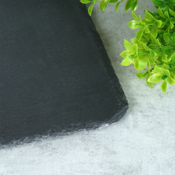 Прямокутний сервірувальний піднос зі сланцевого каменю 30x20 см VILDE 139611