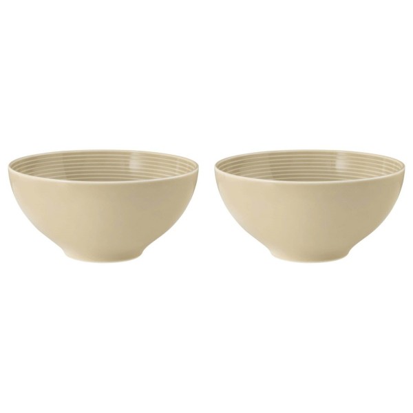 SELTMANN BEAT COLOR GLAZE Набір із 2 круглих мисок 15,5 см