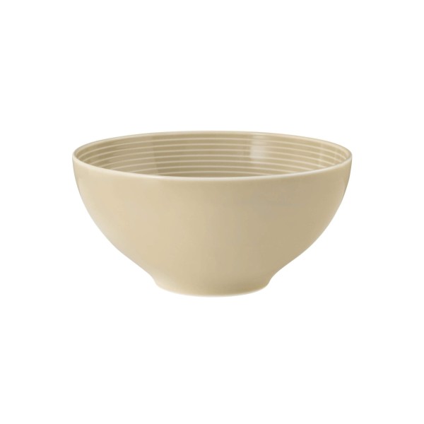 SELTMANN BEAT COLOR GLAZE Набір із 2 круглих мисок 15,5 см