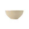 SELTMANN BEAT COLOR GLAZE Набір із 2 круглих мисок 15,5 см