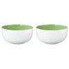 Набір з 2 мисок SELTMANN MEADOW GRASSES GREEN 17,5 см