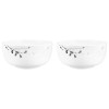 SELTMANN LIBERTY ТЕМНИЙ ШИПШИНА Набір з 2 мисок 17,5 см