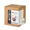 Kubek Mondex PETER FLOWERS 320ml (320 ml)